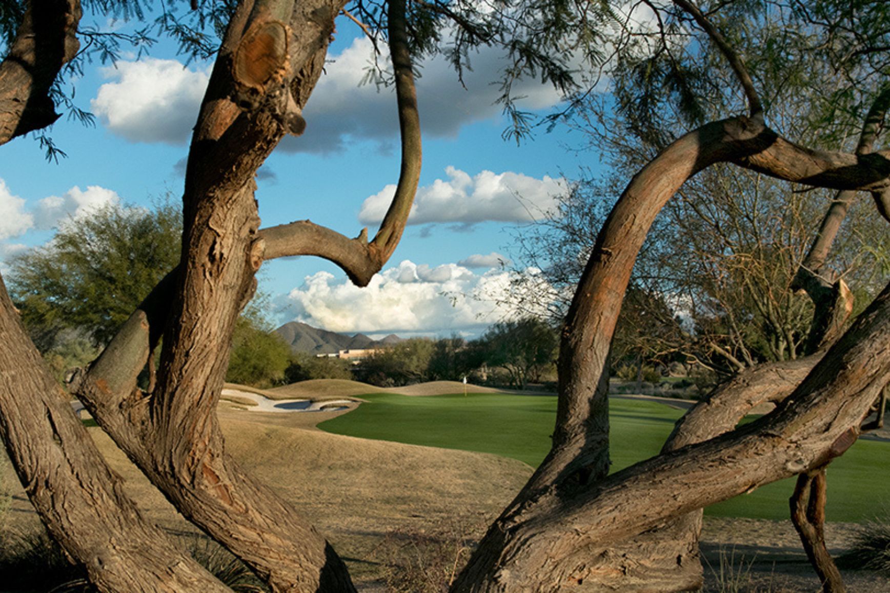 TPC Scottsdale Champions gallery img 3