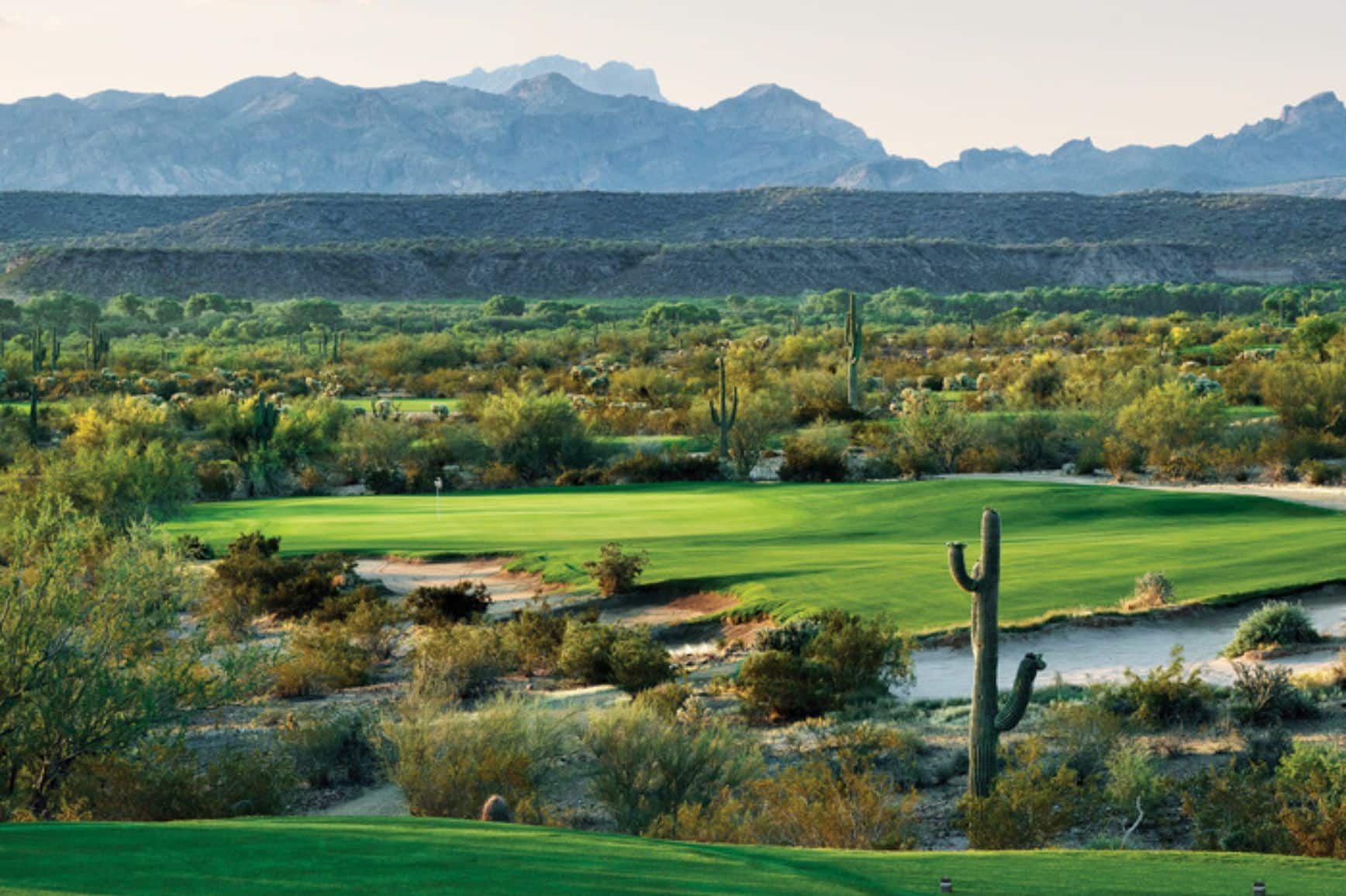 WKP Saguaro gallery 2