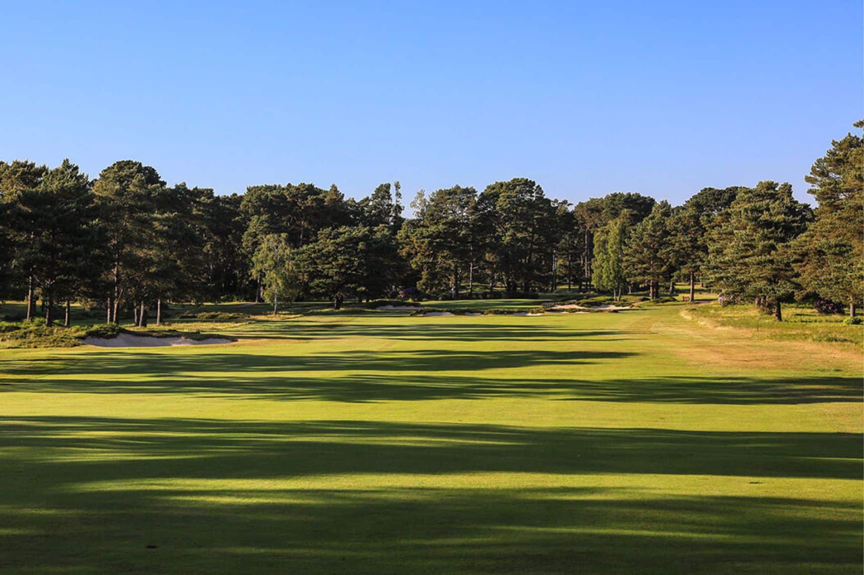 Ferndown gallery 4