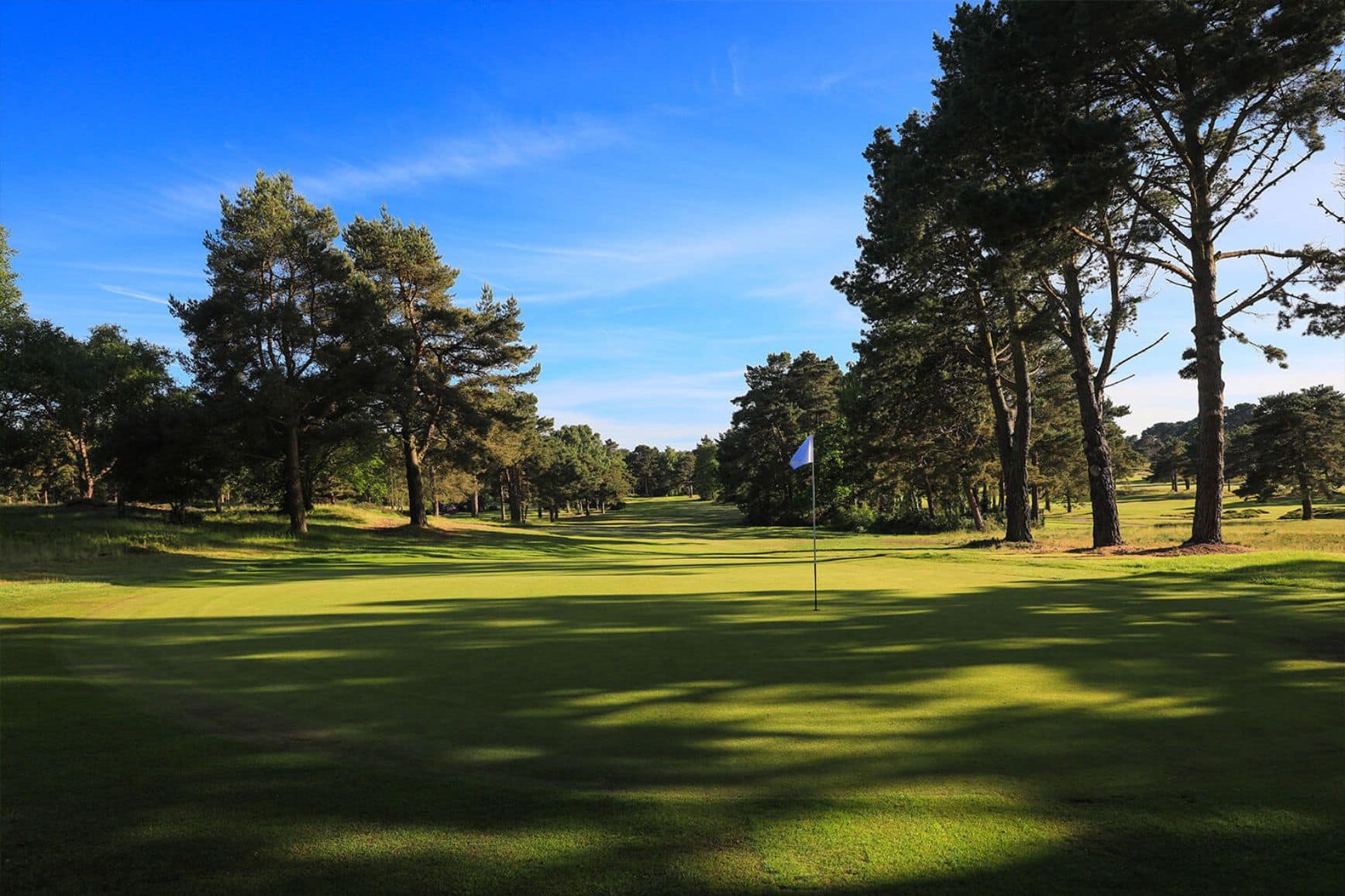 Ferndown gallery 3