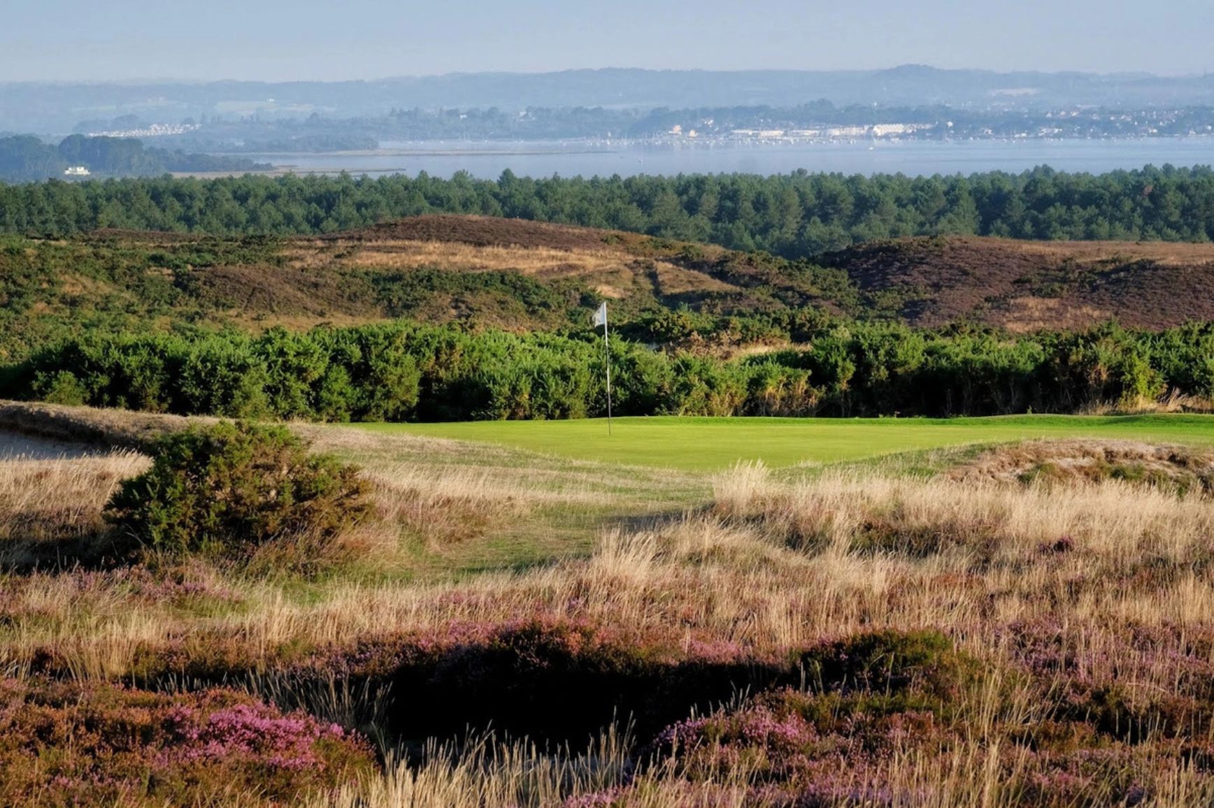 Isle of Purbeck gallery 3