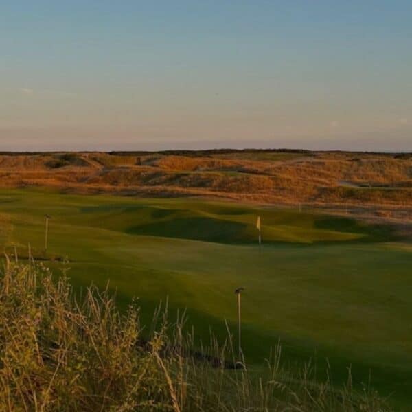 Rye banner img