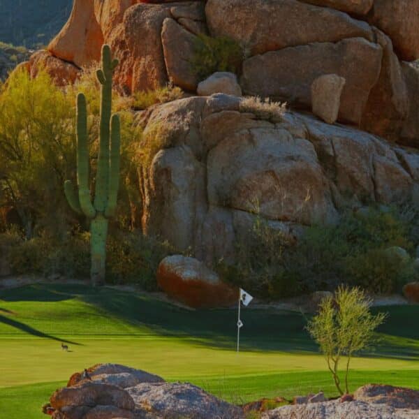 Boulders banner img