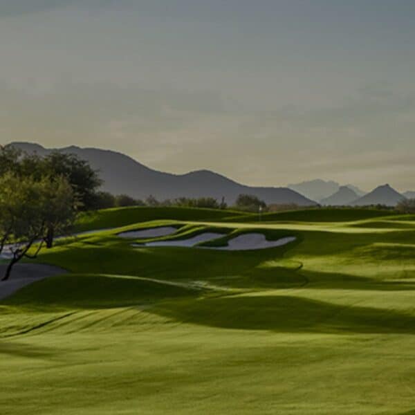 TPC Scottsdale Stadium banner img