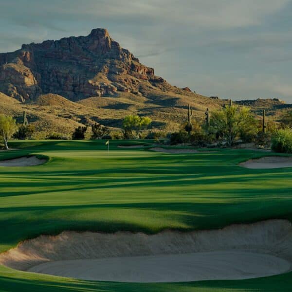 WKP Cholla banner img