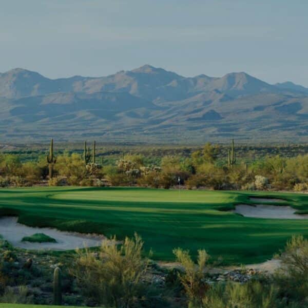 WKP Saguaro banner img