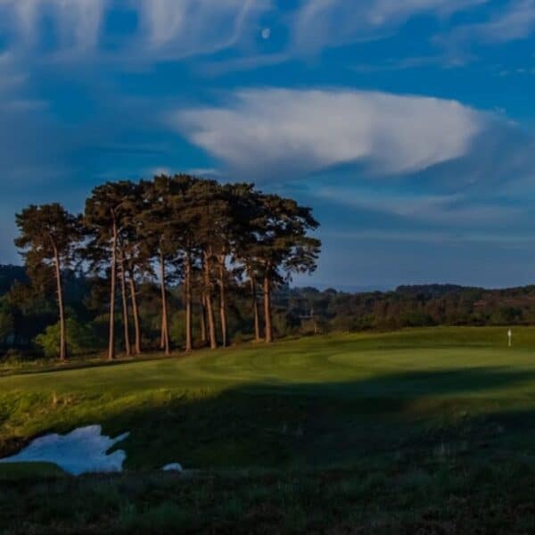 Broadstone banner img