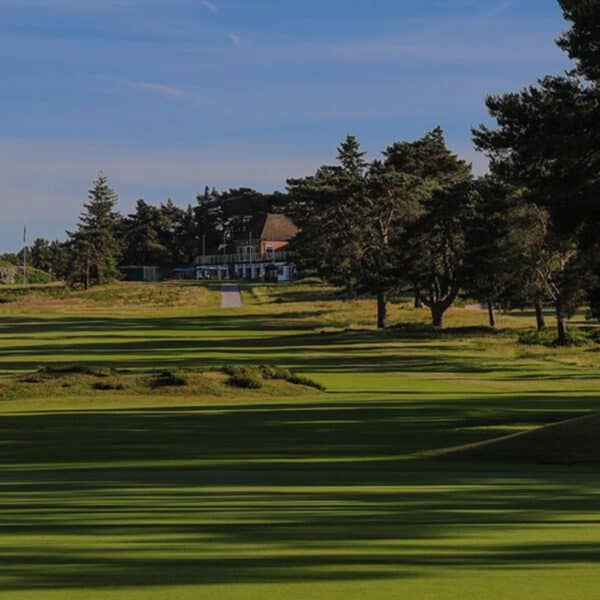Ferndown banner img
