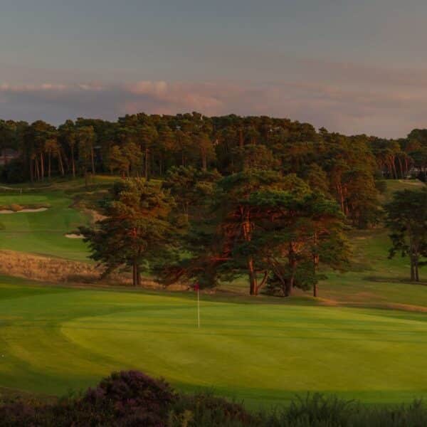 Parkstone banner img