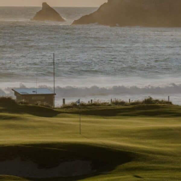 Trevose banner img